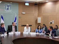הדיון בוועדת החוקה השבוע. האקונומיסט: חשש שישראל הולכת לכיוון הונגריה ופולין / צילום: נועם מושקוביץ, דוברות הכנסת
