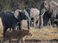 התרגיל שיחזיר לתפקוד צוותים עם דינמיקה בעייתית / צילום: Shutterstock