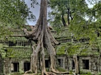 הרווארד בגלובס. מלחמות התרבות הגיעו לעסקים / צילום: Unsplash, James Wheeler