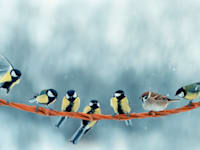 לדרוש פינוי פולש גם ללא הסכמת יתר השותפים / אילוסטרציה: Shutterstock