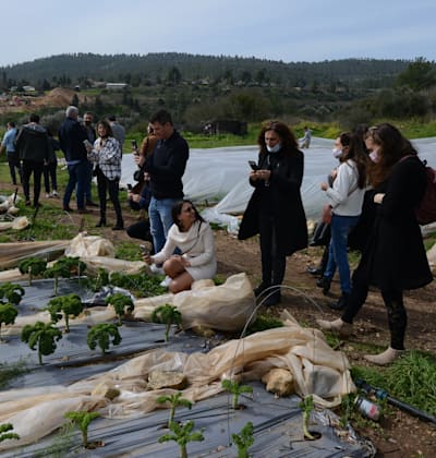 חוות קיימא, בין מושב בית־זית לשכונת עין־כרם / צילום: איל יצהר