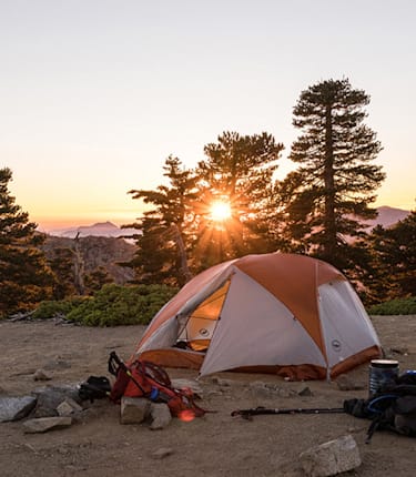 צילום: בנדא מגנטיק צילום: בנדא מגנטיק