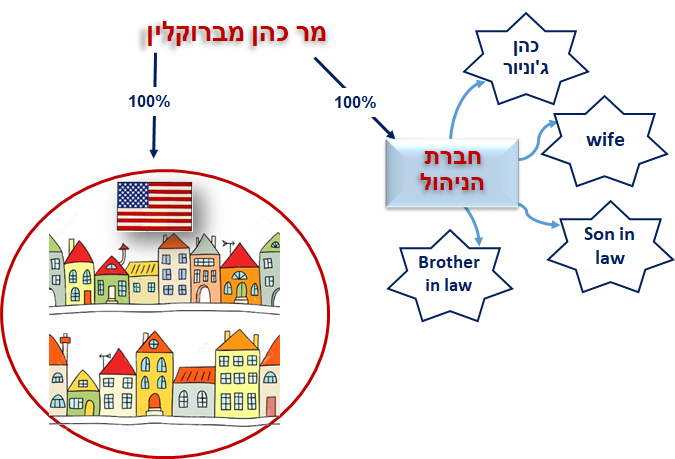 מצב התאגידים לפני ההנפקה / אילוסטרציה: באדיבות רוזנבלום-הולצמן ושות', רו"ח