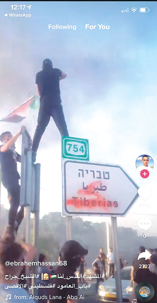 קריאה למרי של הפלסטינים / צילום: צילום מסך מתוך טיקטוק