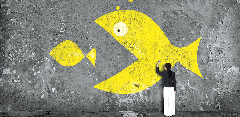 / צילום: ישות בסייבר הישראלי / אילוסטרציה: Shutterstock"