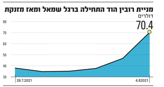 כחץ מקשת מניית רובין הוד מזנקת עם תחילת המסחר באופציות עליה גלובס