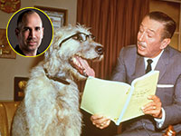 חצי שעה של השראה. מפת האוצר של וולט דיסני / צילום: Associated Press