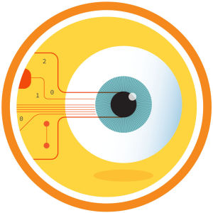 אישונים לומדים / צילום: Shutterstock אישונים לומדים / צילום: Shutterstock