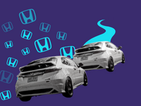 צילום: shutterstock