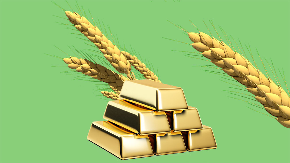 גיוון השקעות בסחורות / עיבוד: Shutterstock