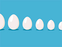 מחיר ממוצע של מארז 12 ביצים ברשתות השיווק הגדולות