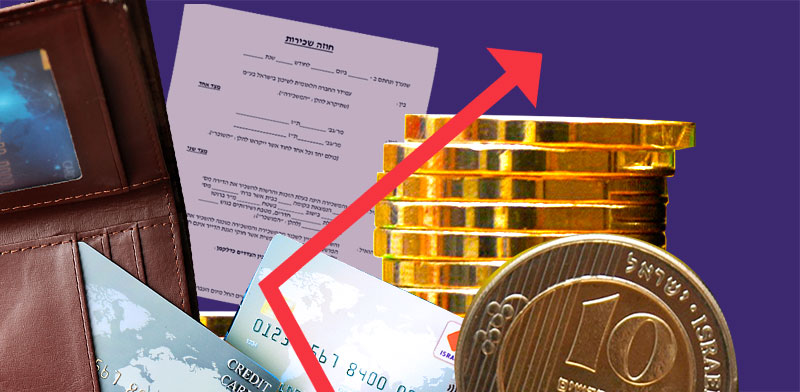 עיצוב: טלי בוגדנובסקי