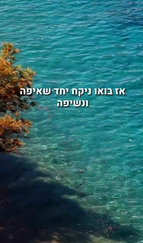 מיזם linshom באינסטגרם מיזם linshom באינסטגרם