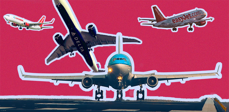 אילוסטרציה: טלי בוגדנובסקי; צילומים: מיכל רז-חיימוביץ', shutterstock