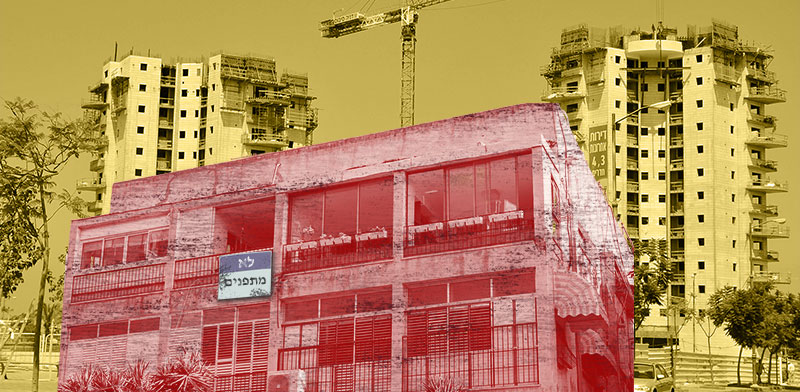 / צילום: טרציה: טלי בוגדנובסקי, צילומים: תמר מצפי, shutterstock"