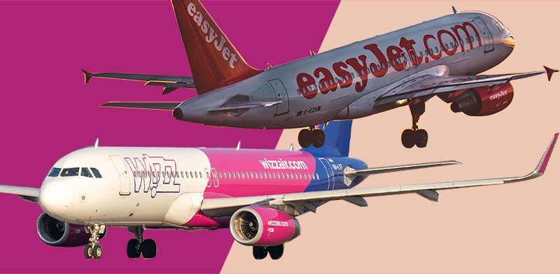 / צילום: טצריה: טלי בוגדנובסקי, צילומים: Shutterstock"