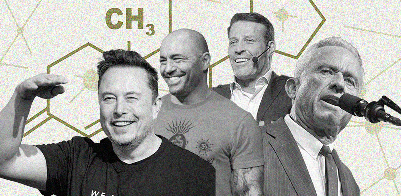 / צילום: : טלי בוגדנובסקי, צילומים: AP- Charles Sykes, Gregory Payan, Evan Vucci ,Phelan M. Ebenhack ,Ebrahim Noroozi"