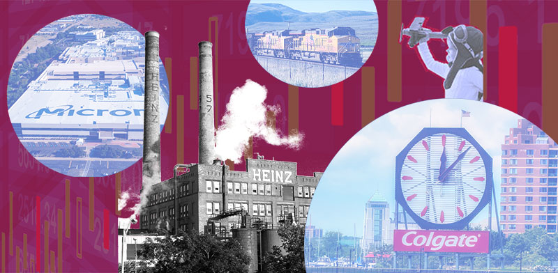 / צילום: ים: Shutterstock, עיצוב: טלי בוגדנובסקי"