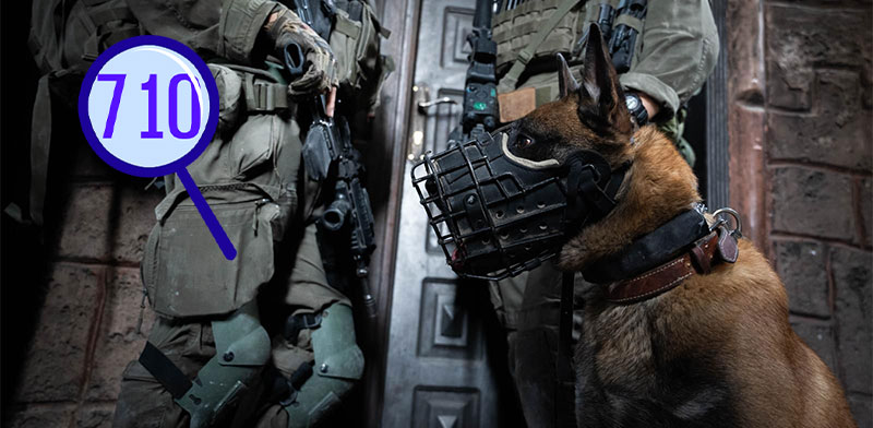 "איזה תפקיד מילאו בעלי החיים בתהליך הריפוי שלנו כחברה / צילום: דובר צה''ל"