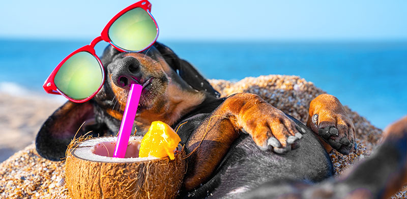 / צילום: Shutterstock"