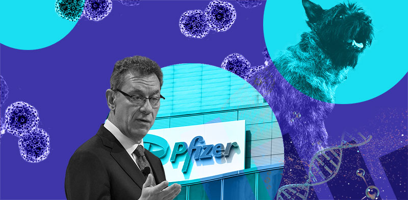 / צילום: ים: AP-Eric Risberg, Shutterstock, רפי קוץ; עיבוד: טלי בוגדנובסקי"