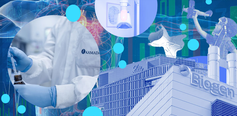 / צילום: ליות שהפתיעו וההזדמנויות שמחכות / אילוסטרציה: טלי בוגדנובסקי (צילומים: Shutterstock, V-Wave, בריינסוויי, קמהדע)"