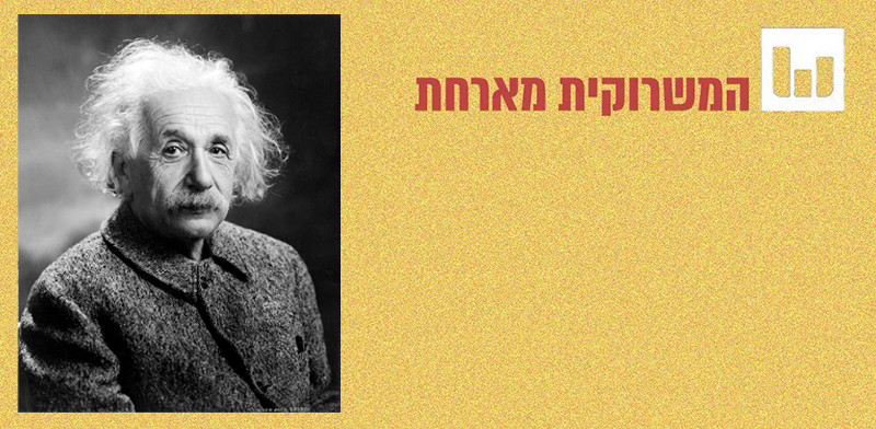 / צילום: 