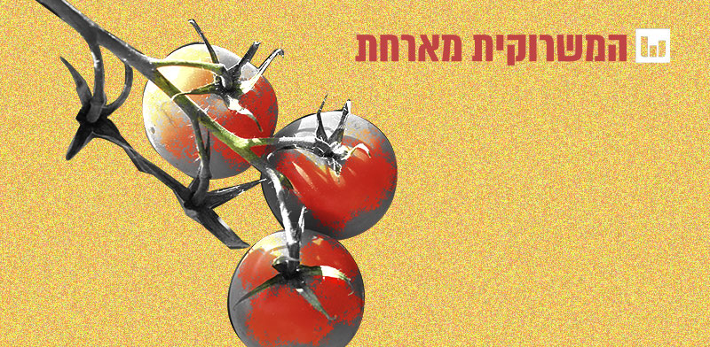 עגבניות שרי / צילום: Shutterstock
