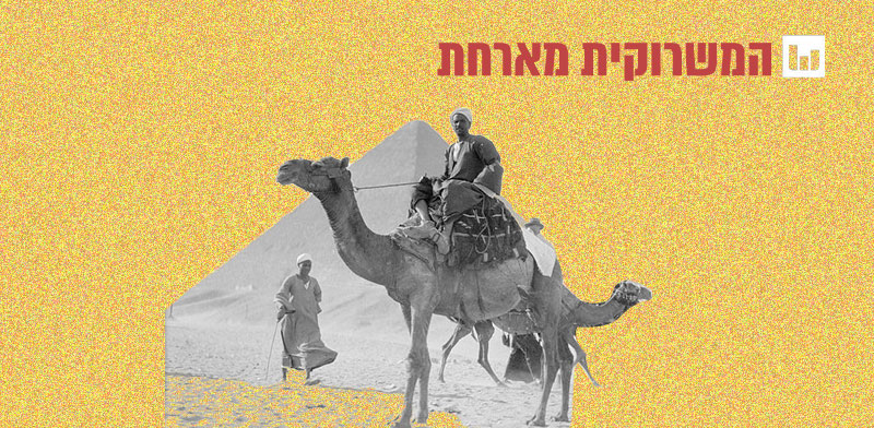 גמלים בגיזה / צילום: אוסף מטסון, ספריית הקונגרס