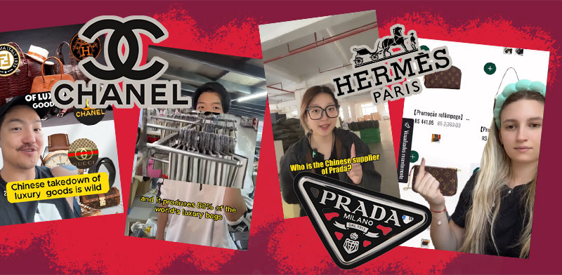 / צילום: נים שפורסמו בימים האחרונים ברשת צילומי מסך מטיקטוק"