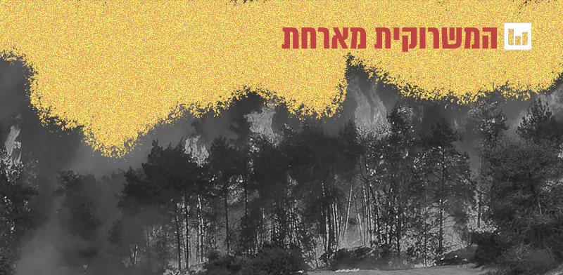 "השריפות באזור הרי ירושלים / צילום: עובדי ויערני קק״ל"