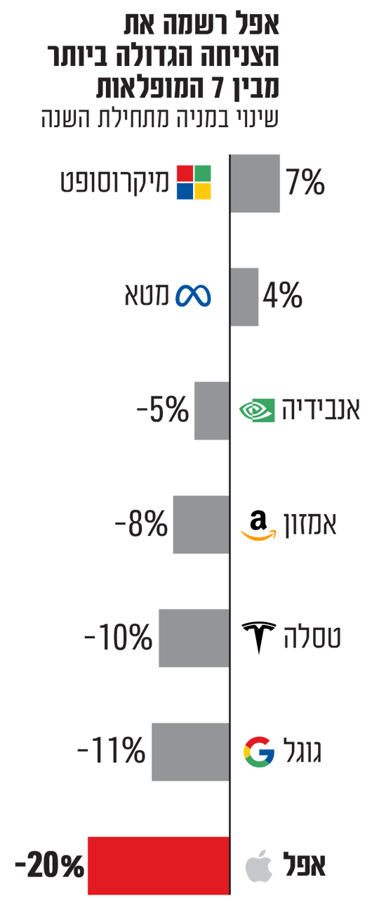 אינפו אינפו