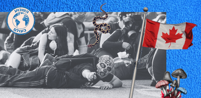 "השבוע בעולם / צילום: Reuters, David Ryder"