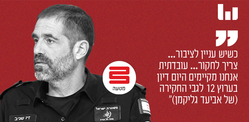 נצ"מ זיו שגיב