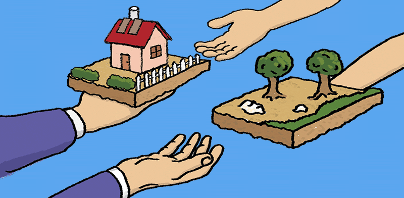 / צילום:  מתנה / איור: לירון בר עקיבא"