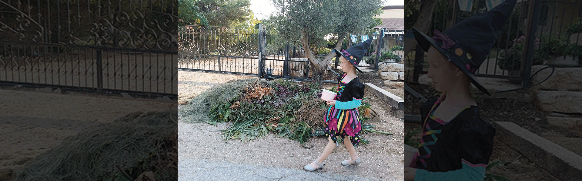 ''ממתק או תעלול'' בישראל. ''ההאלווין 'יעוברת''' / צילום: מיטל שטדלר ''ממתק או תעלול'' בישראל. ''ההאלווין 'יעוברת''' / צילום: מיטל שטדלר