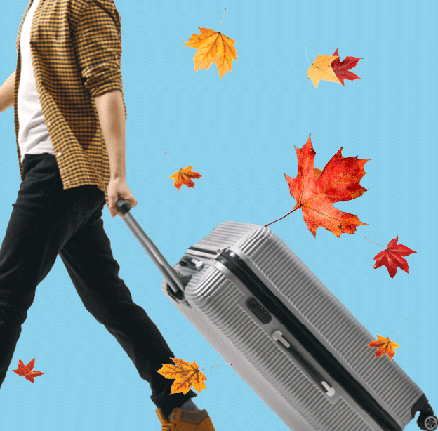 השיבה מקנדה