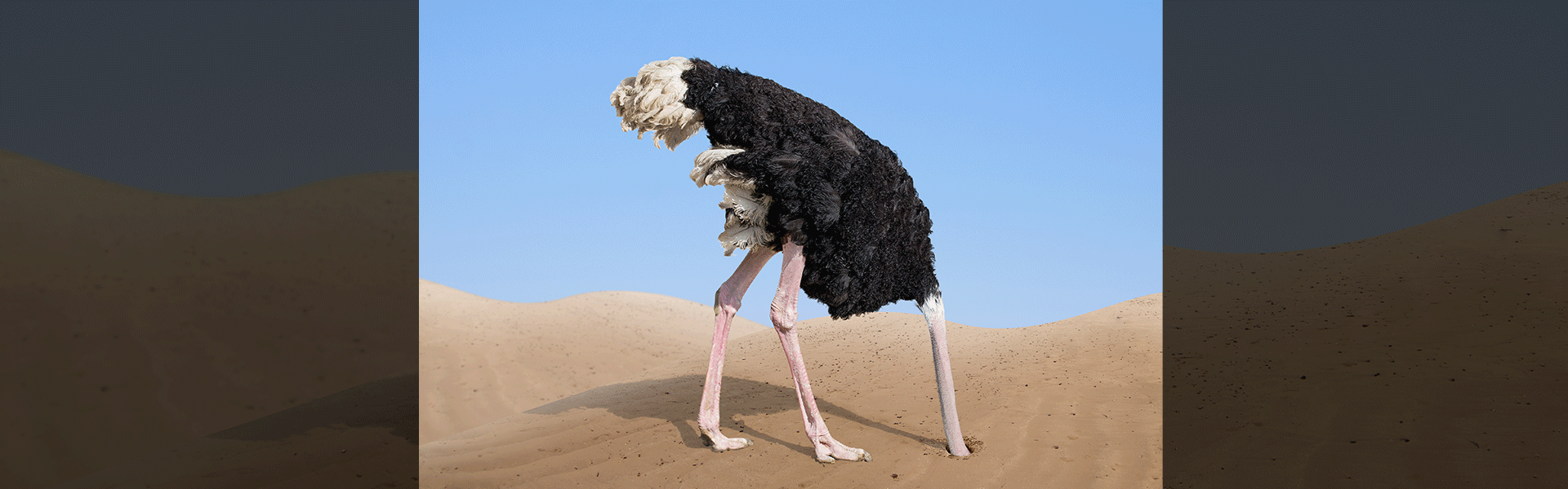 בחזית המדע. FOFO / צילום: Shutterstock