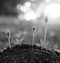מושגים לאזרחות מיודעת.המדד לפעילות המשק / צילום: Shutterstock