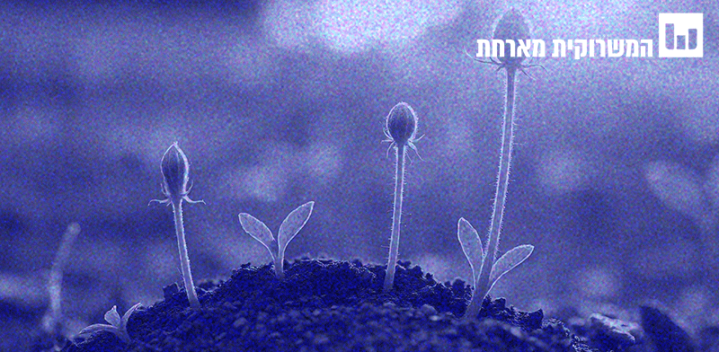 "מושגים לאזרחות מיודעת.המדד לפעילות המשק / צילום: Shutterstock"