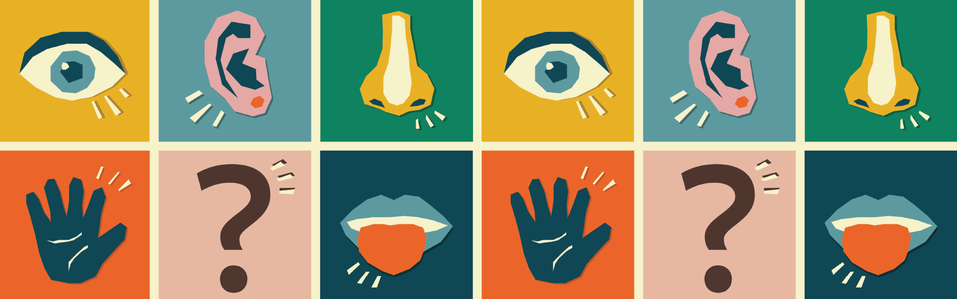 חזית המדע. איך פועל החוש השישי / צילום: Shutterstock