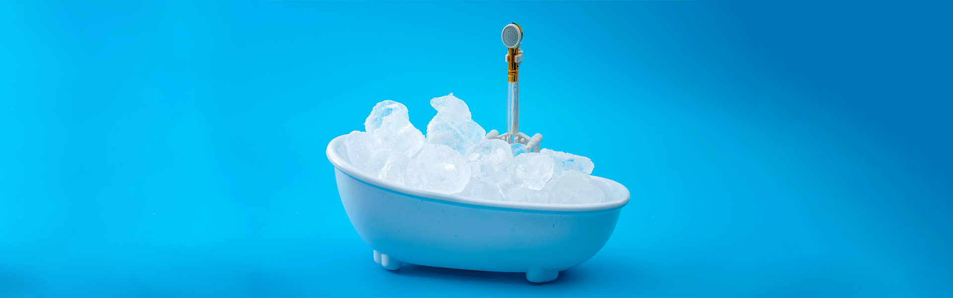 חזית המדע / צילום: Shutterstock