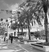 המשרוקית מסבירה. מי העיר עם איכות החיים הגבוהה בארץ? / צילום: Shutterstock