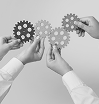 מושגים לאזרחות מיודעת. מיזוג / צילום: Shutterstock