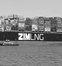 מושגים לאזרחות מיודעת. מניית זהב / צילום: Craig Coope