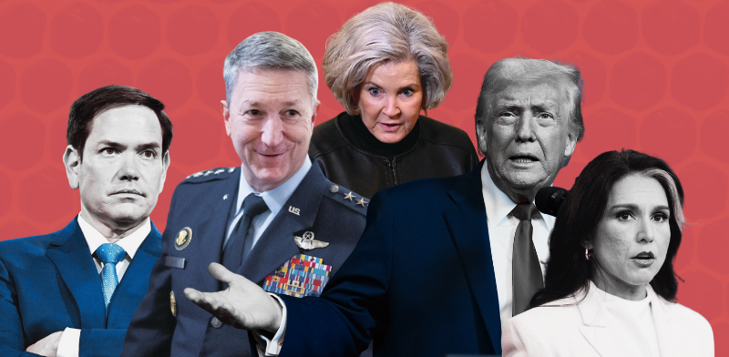 "הכוורת של טראמפ במלחמה / צילום: AP"