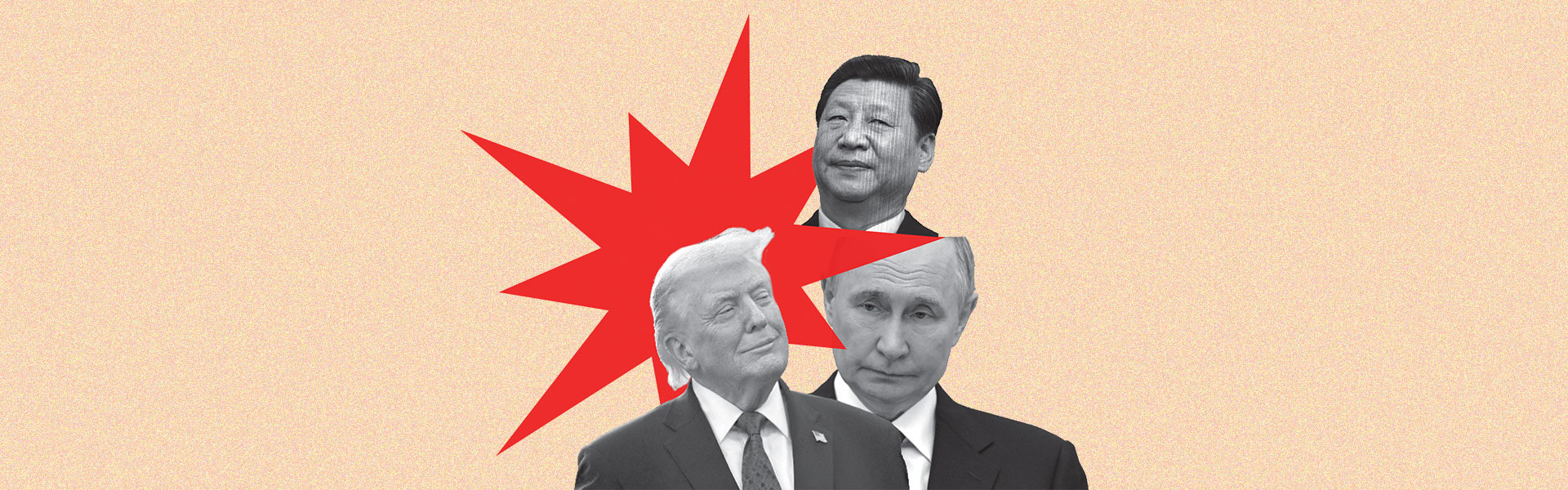 צילומים: Shutterstock