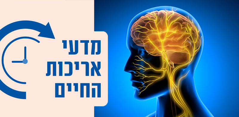עצב הוואגוס / אילוסטרציה: Shutterstock