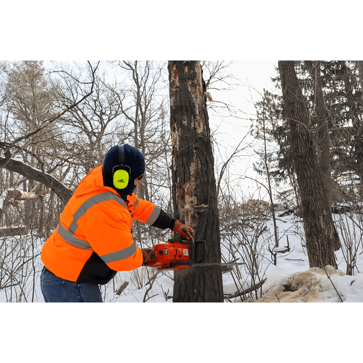 Impact, Oil, Water, and Cut Resistant Insulated Gloves - LIMITED STOCK - CIA3800INT