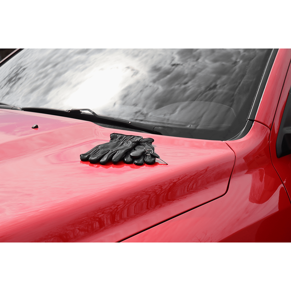 Premium Black Deerskin Leather Insulated Gloves - 3200DTHB